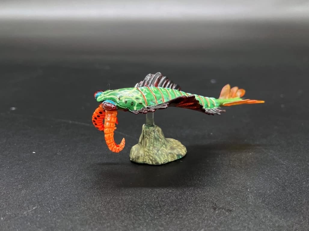 Amazon | 海洋堂チョコラザウルス2 アノマロカリス@恐竜・古代生物